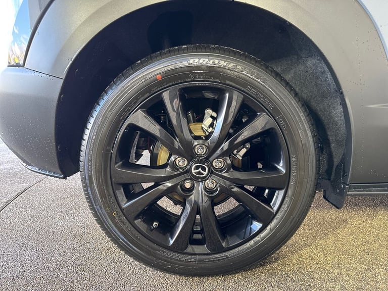 2025 Mazda CX-30 2.5 e-Skyactiv G MHEV [140] Homura 5dr Hatchback Petrol Manual