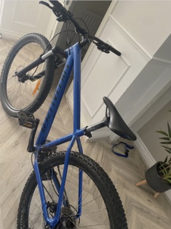 Blue specialised rockhopper mountain bike 