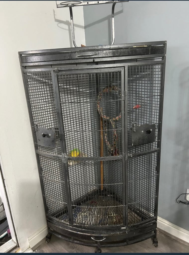 Corner parrot cage