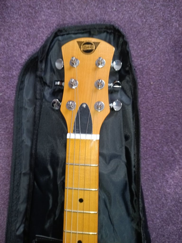 Pignose PGG-200PL Electric Guitar with Built-in Amplifier in Pink Paisley