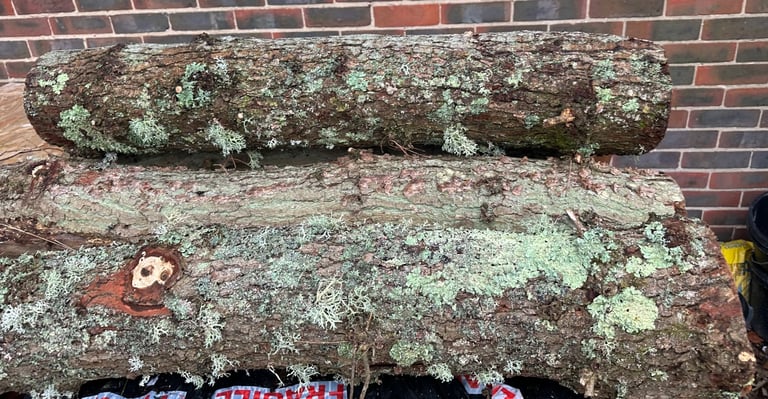 Firewood Logs in long lengths for larger fireplaces or self cutting