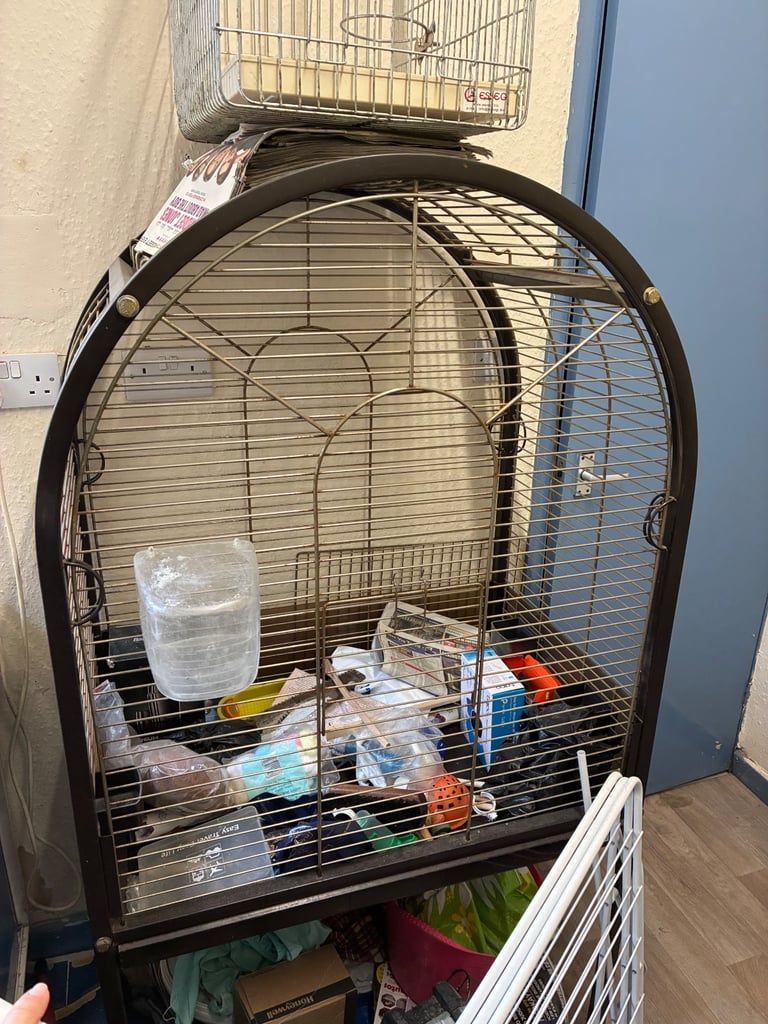 Parrot cage