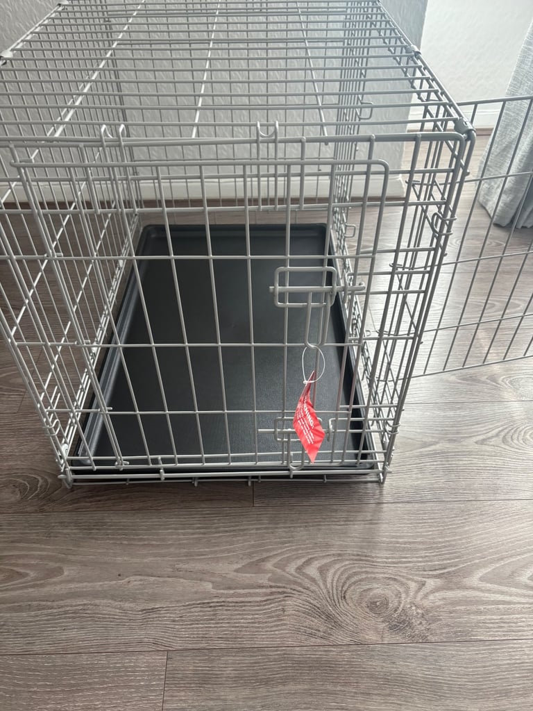image for Dog create 