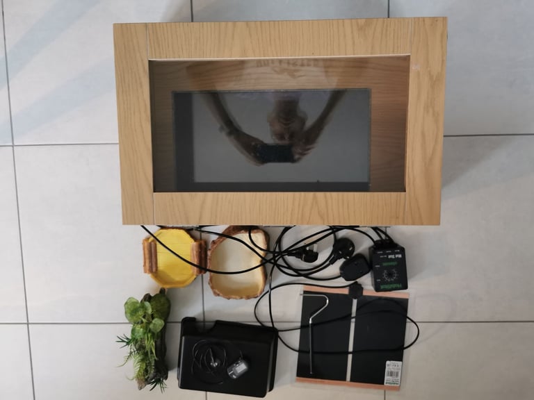 Vivarium snake leopard gecko set up