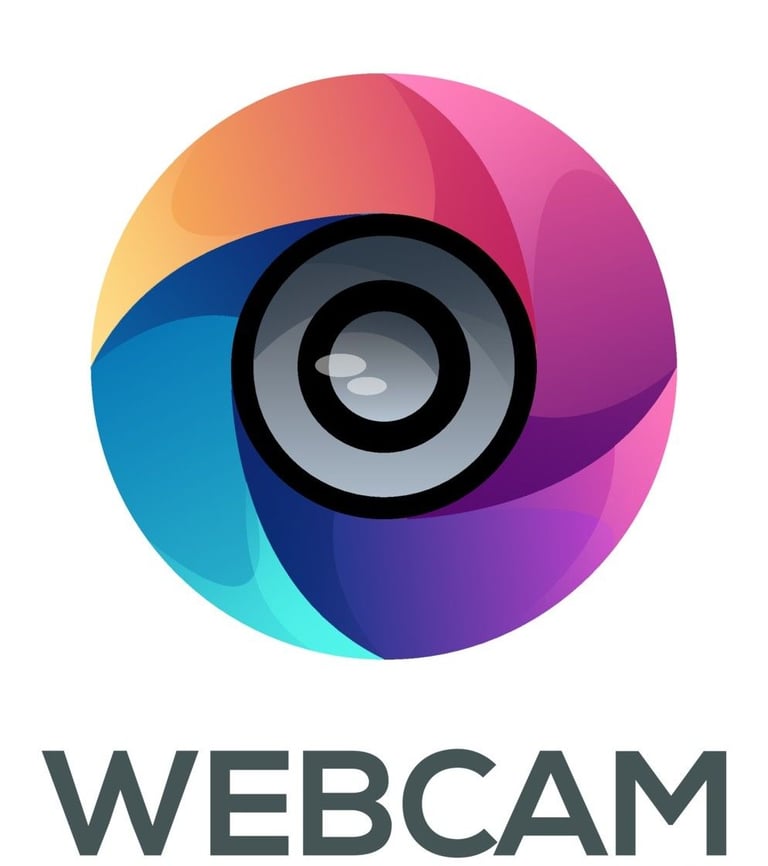 Windows 11, 8GB RAM, i5, 120GB SSD + 500GB HDD, Dell laptop. FULL MICROSOFT OFFICE, HDMI, Cam