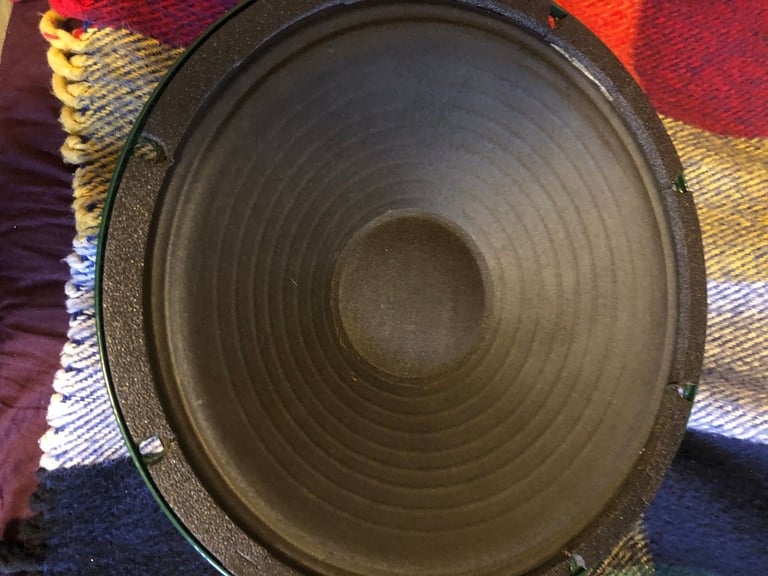 Tayden Ace 10 inch 8ohms alnico guitar speaker.