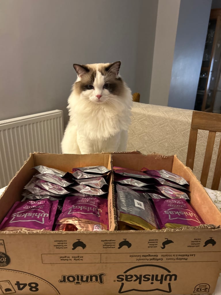 Food for pets