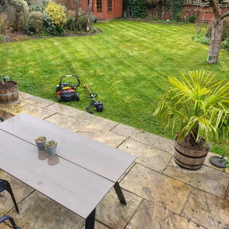 image for 🌹Gardening maintenance services🌹 