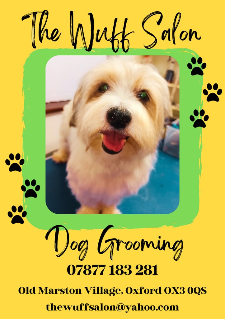 image for Dog Groomer Old Marston Village