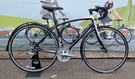 Specialized Dolce Elite Women Road Racing Bike Medium 54cm Tiagra