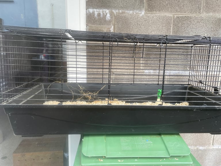 Rabbit cage 