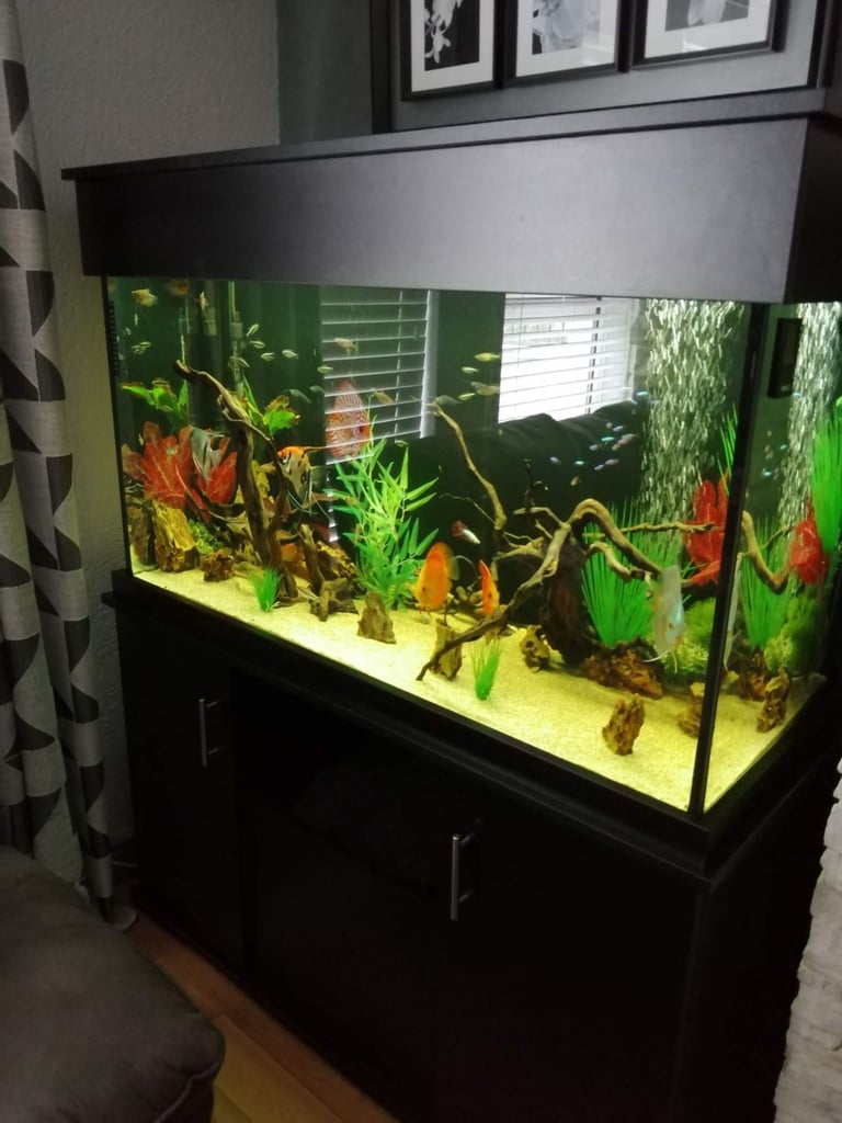 image for Large 4ft Fish Tank 320L