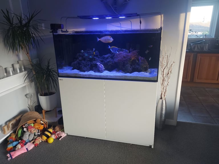 image for Red Sea Reefer 425XL Marine Fish Tank Full setup