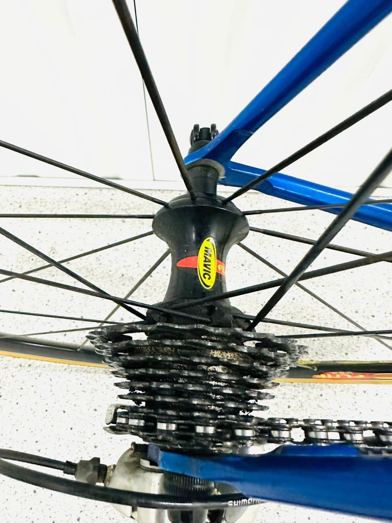 32  XXL 63 cm Reynolds 853 Rarest Bespoke Road Bike 🚴‍♀️ MAVIC