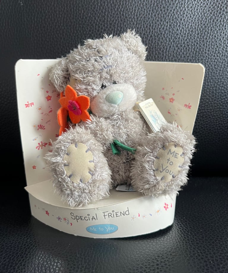 image for Me to You “Special Friend” Bear