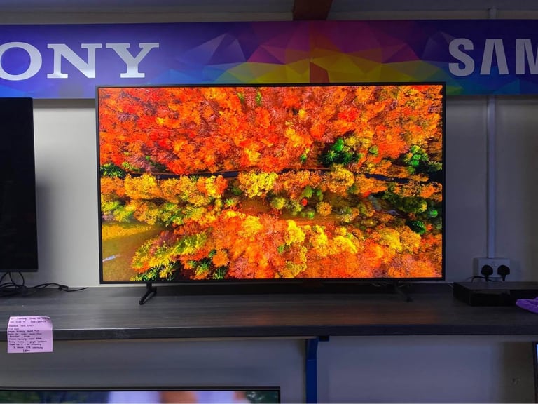 2024 Samsung 65 Inch QE65LS03DAUXXU The Frame Smart QLED TV