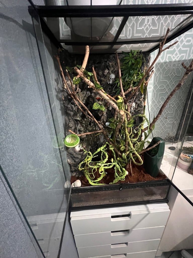 Exo Terra Glass Reptile Terrarium