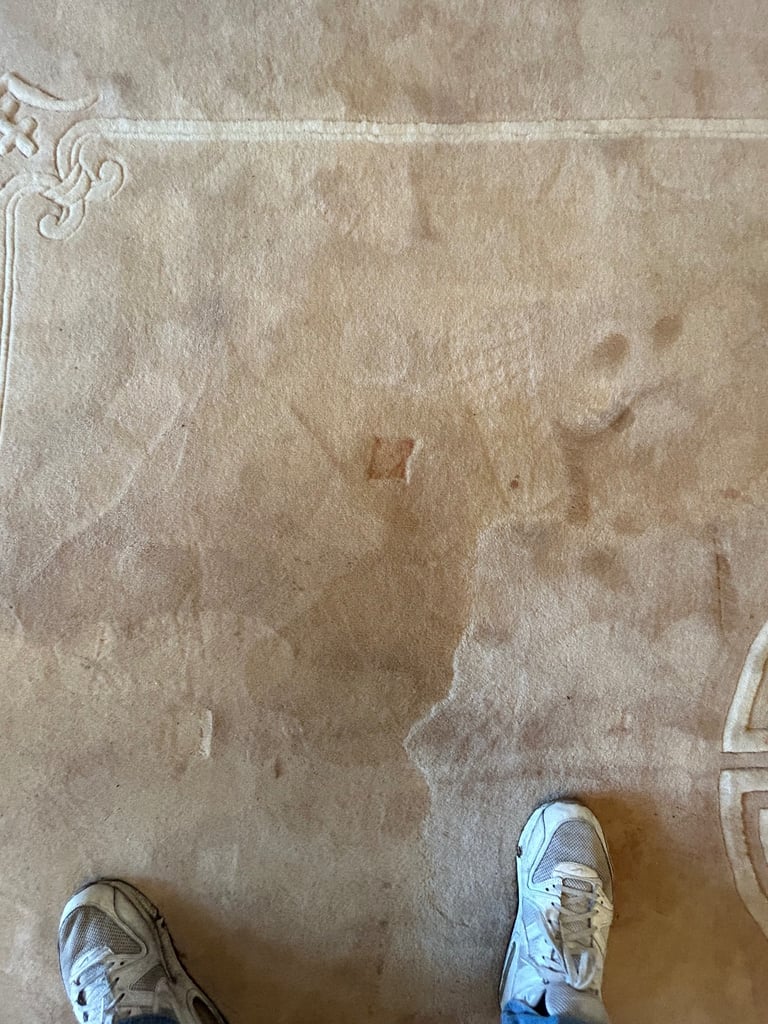 Traditional hand woven wool - oriental carpet