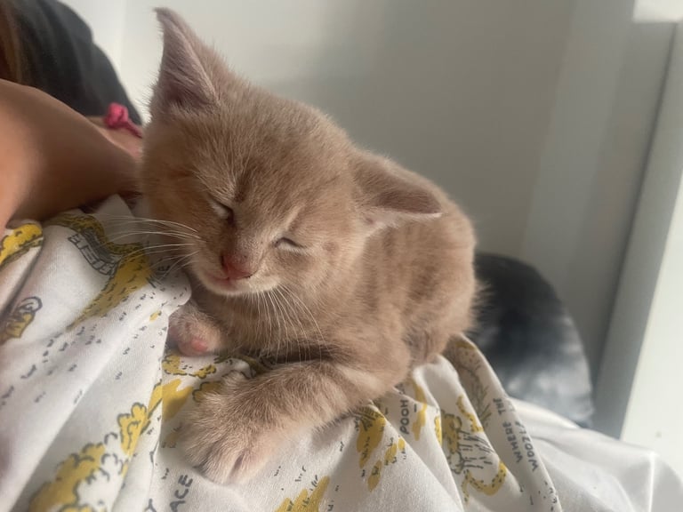 Beautiful boy 