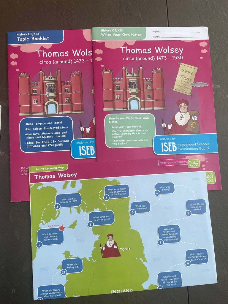 24 x Oaka Books Booklets KS3 History Bundle Common Entrance KS3 SEN - 9 Topics