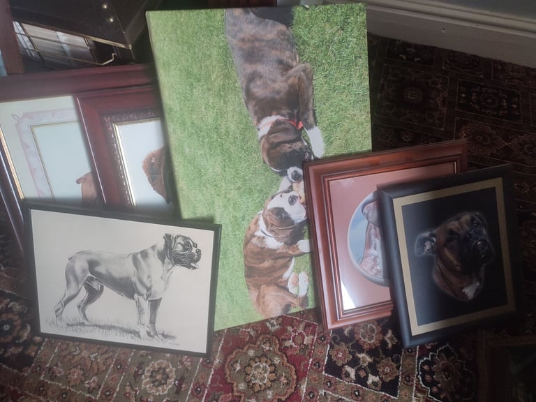 image for Boxer dog pictures ornaments figures