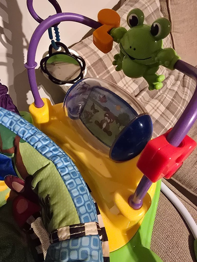 Baby Einstein baby jumperoo