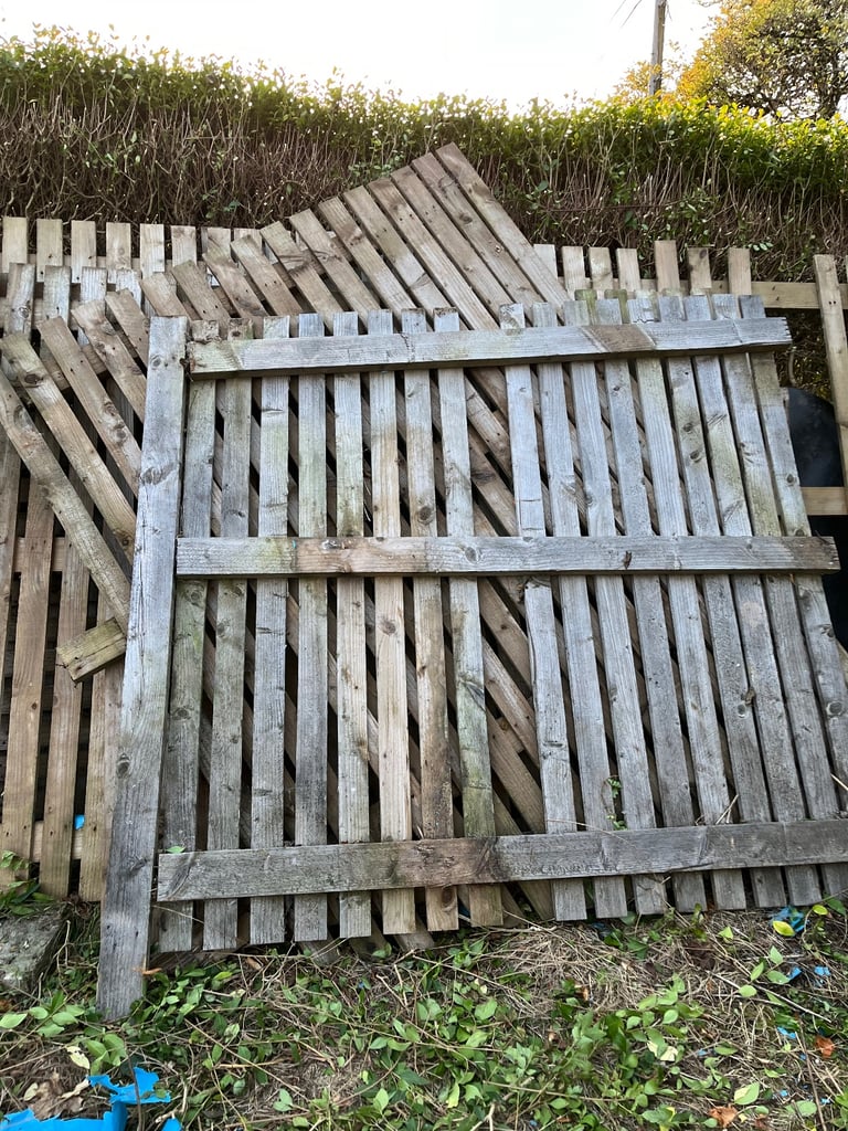 Garden fence 