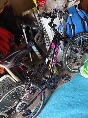 pazzaz indiana 24 inch wheel mountain bike