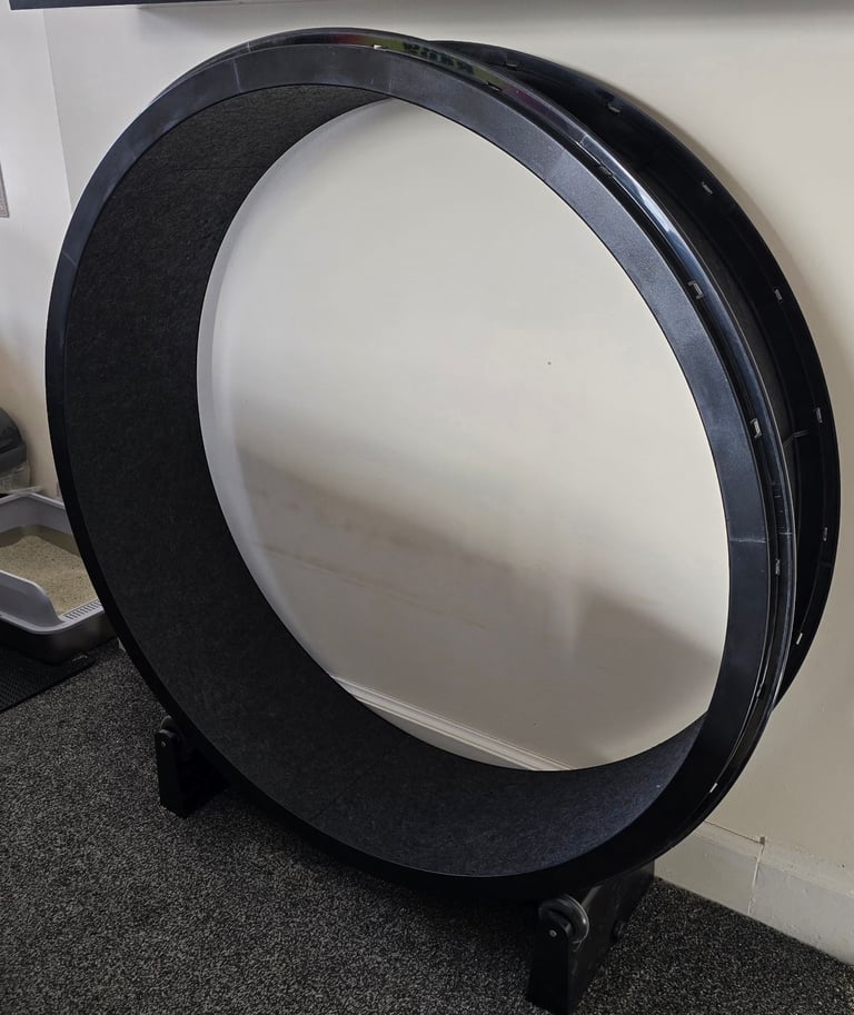 One Fast Cat Exercise Wheel