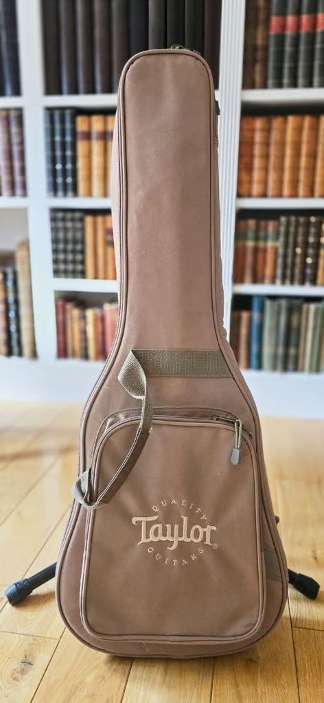Taylor BT2 guitar with gig-bag in lovely condition with rich sound.