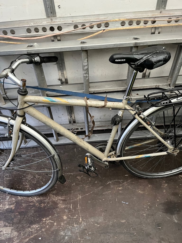 Dawes Vintage Woman’s Bike