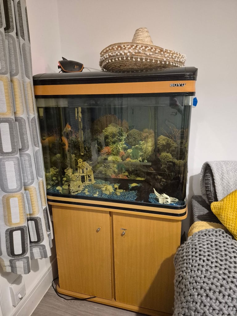 image for Aquarium with fish