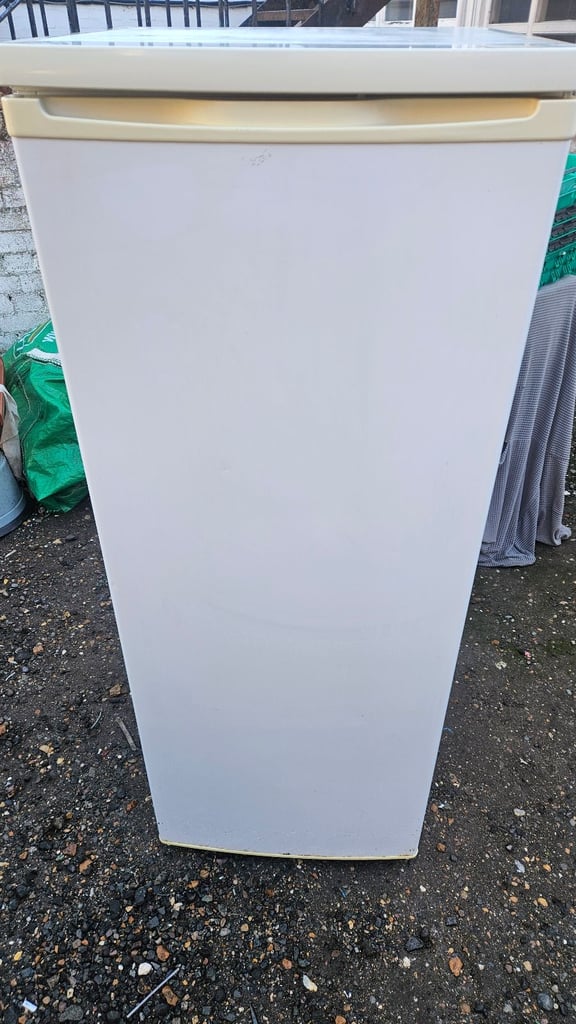 Tall fridge / free delivery 