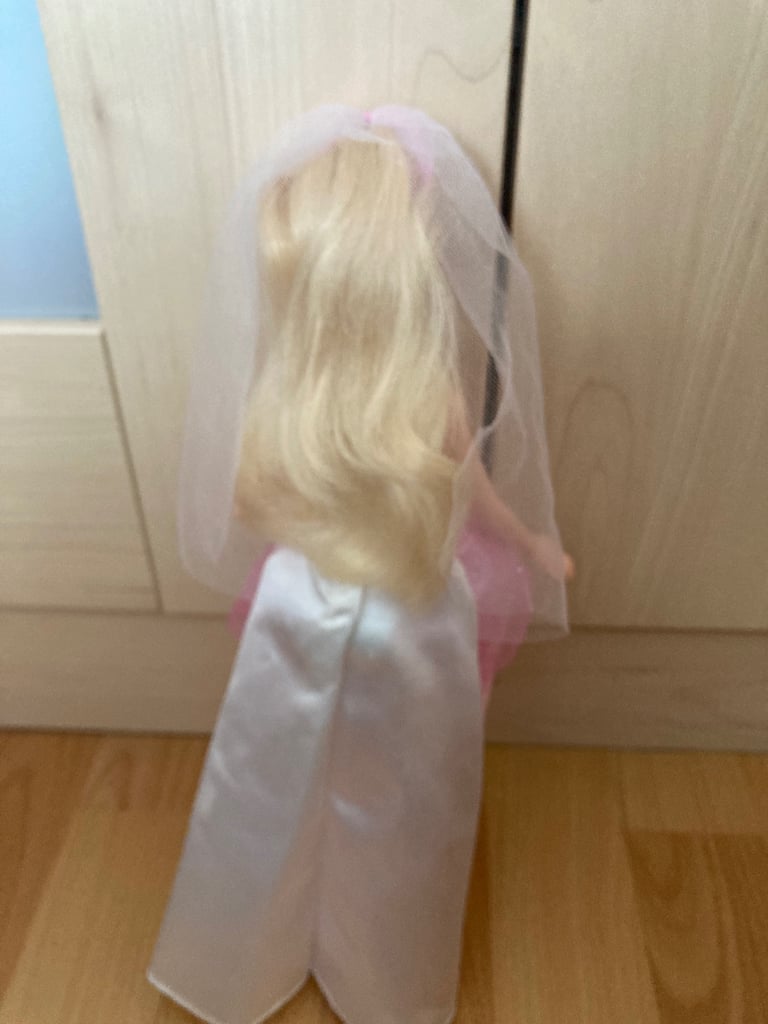 2 x Barbie dolls with accessories