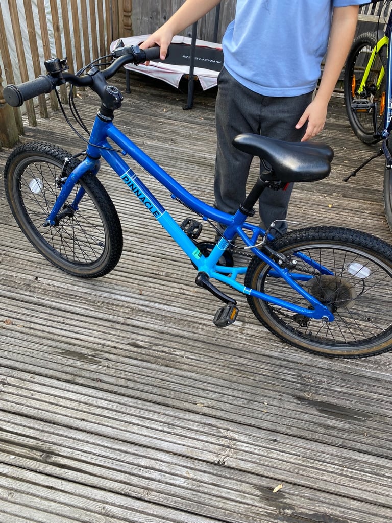 image for Kids Pinnacle push bike 