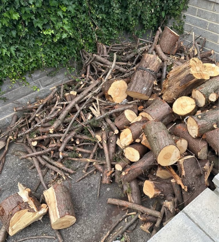 image for Log - wood