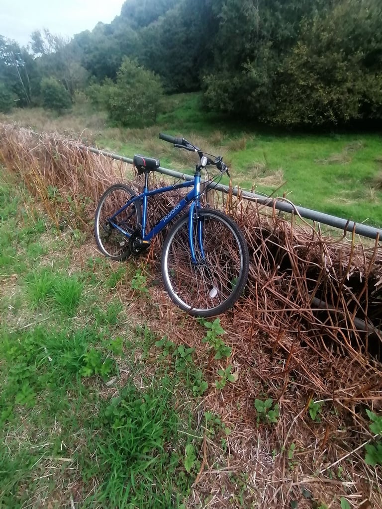 Apollo bike (read desc) 