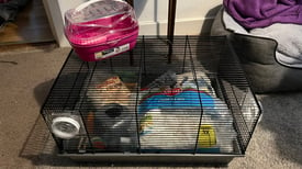 Hamster cage + accessories 