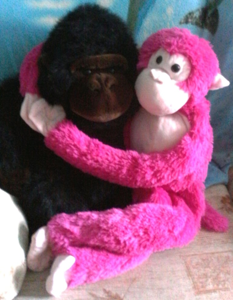 image for CUTE & CUDDLY SOFT TOYS