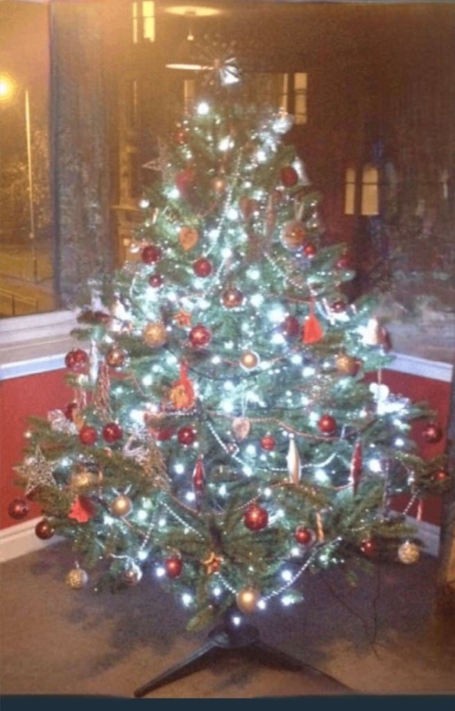 image for Homebase Richmond Fir 6ft Christmas Tree