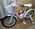Chipmunk Lollipop Purple Bike

