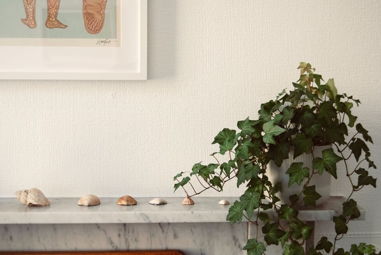 Beautiful, calm & affordable therapy space in Haymarket, Edinburgh 