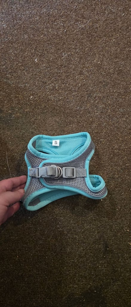 Size small dog harness new