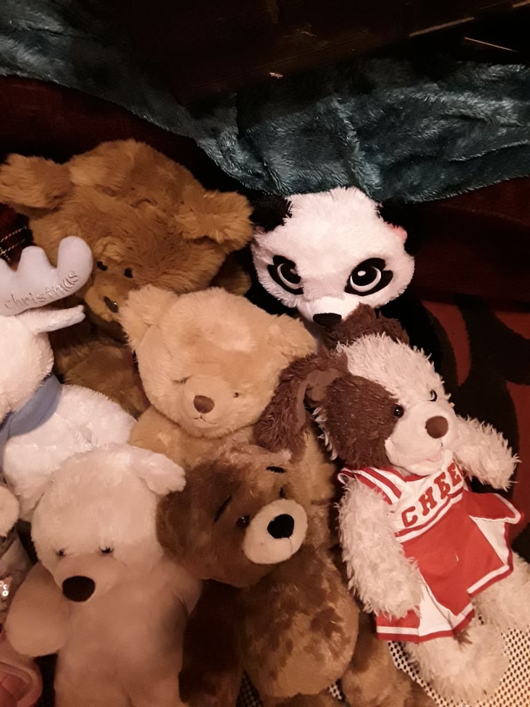 A selection  of  teddy bears 