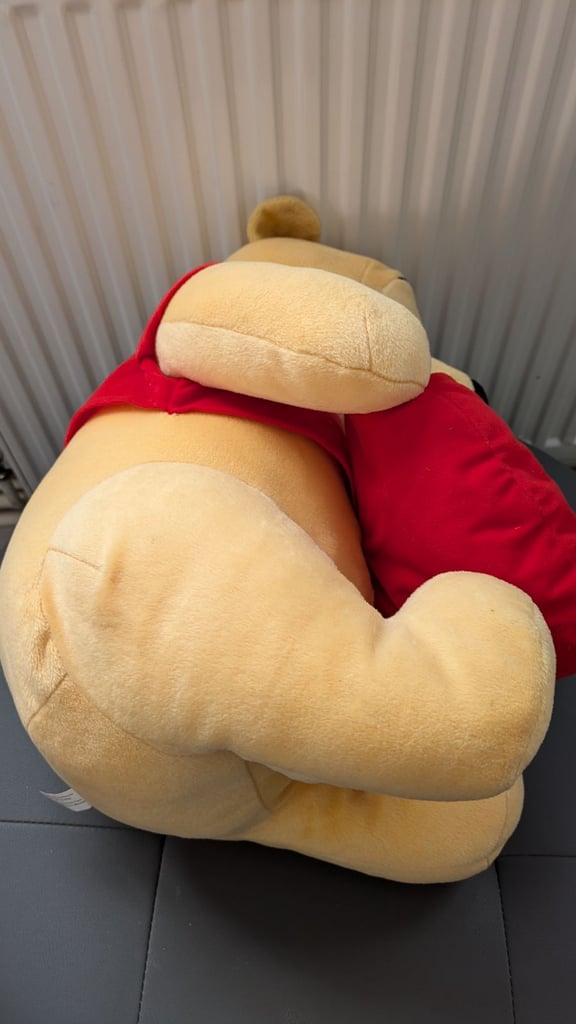 Teddy Winnie the Pooh Disney bear soft toy stuffed animals 