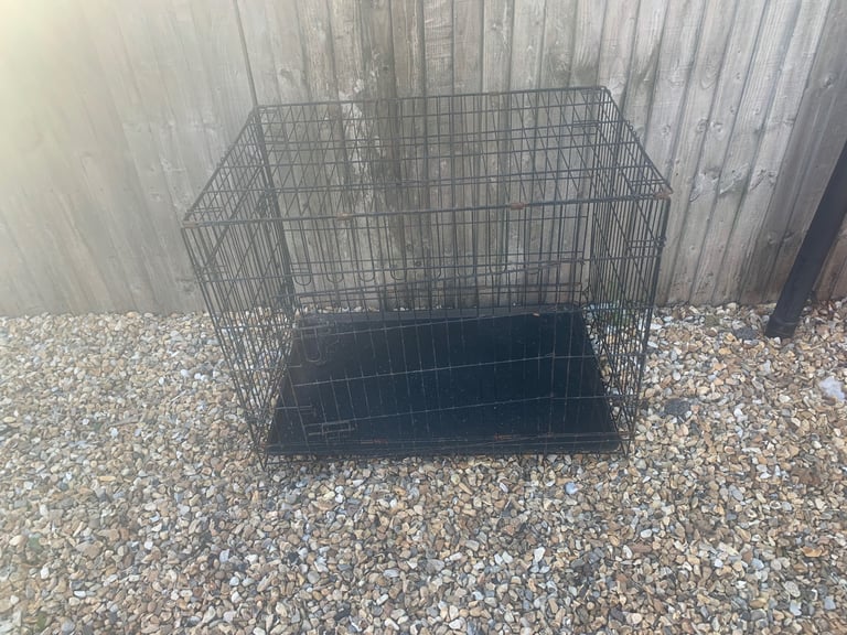 Large Dog crate 🐾