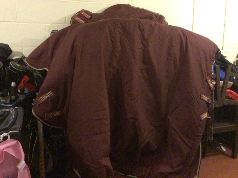 Burgundy Rambo Horse Rug