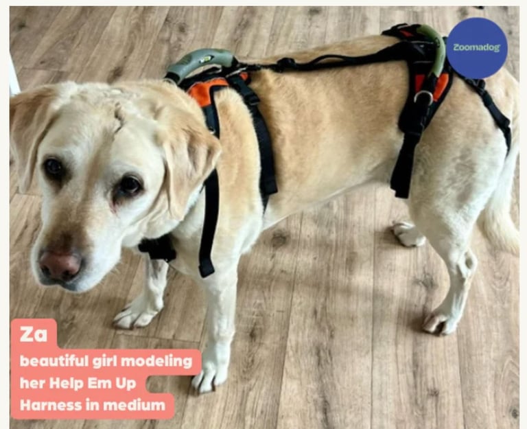 The Help Em Up Harness - The Complete Dog Lifting Harness