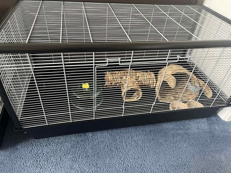 Month old large savic hamster cage 100cm was 80