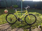 ADULT RALEIGH MAX MOUNTAIN BIKE